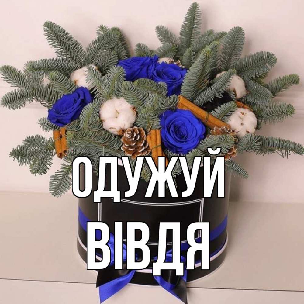 Открытка на каждый день з підписом, Вівдя Одужуй короче кто то загрузил эти шишки Прикольна листівка з побажанням онлайн скачати безкоштовно 