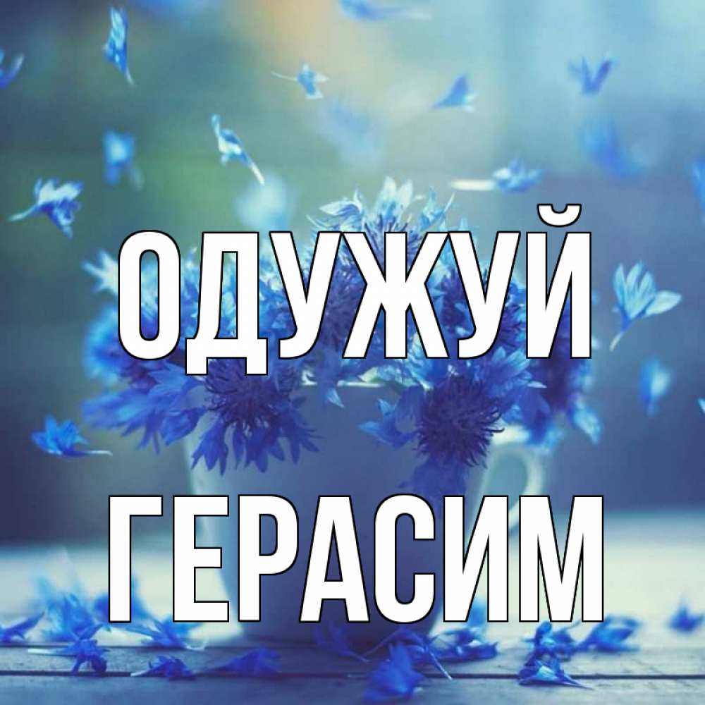 Открытка на каждый день з підписом, Герасим Одужуй кружка с зельем и цветами Прикольна листівка з побажанням онлайн скачати безкоштовно 
