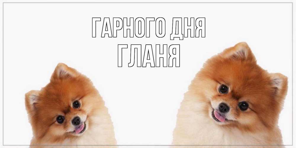 Открытка на каждый день з підписом, Гланя Гарного дня собачки желают прекрасного дня Прикольна листівка з побажанням онлайн скачати безкоштовно 