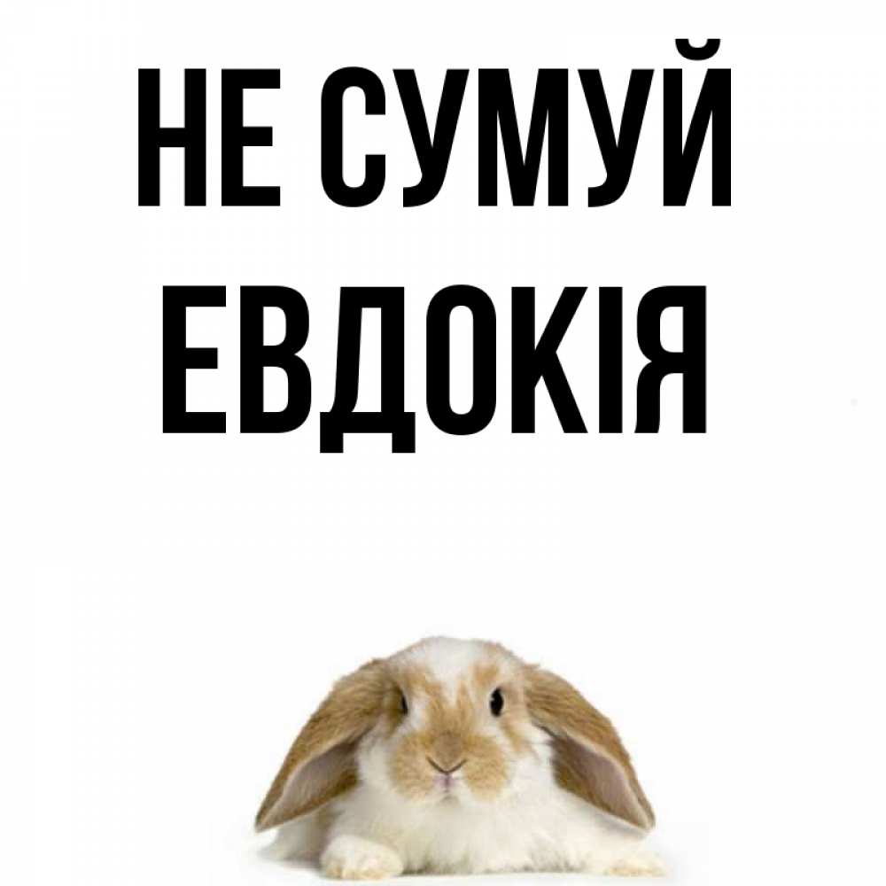 Открытка на каждый день з підписом, Евдокія Не сумуй коричнево белый заяц с большими ушками Прикольна листівка з побажанням онлайн скачати безкоштовно 
