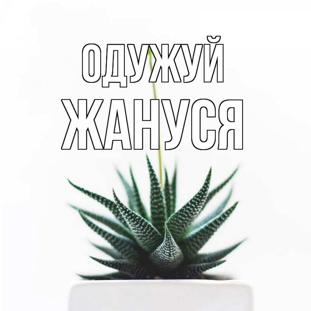 Открытка на каждый день з підписом, Жануся Одужуй короче это непонятная колючка Прикольна листівка з побажанням онлайн скачати безкоштовно 