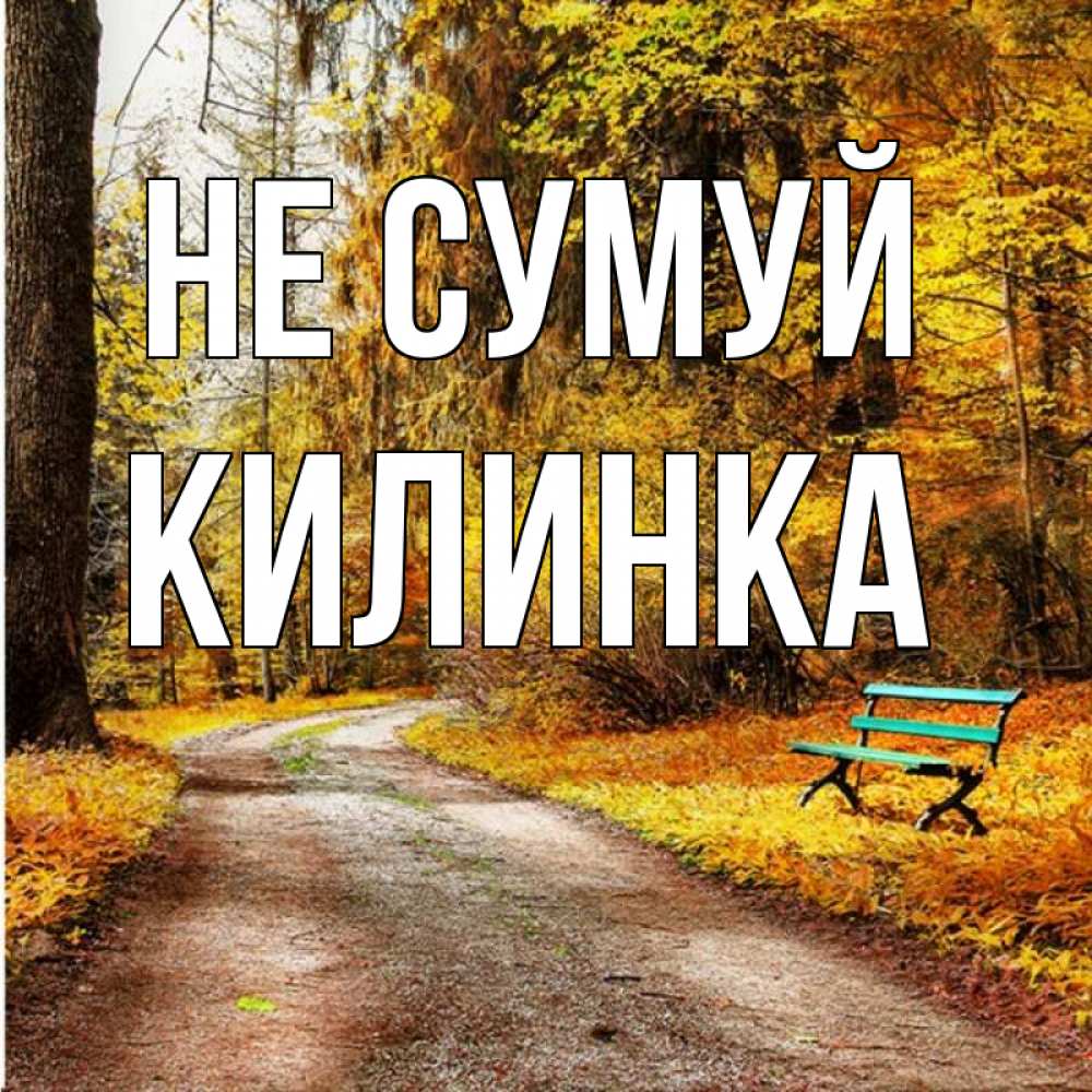 Открытка на каждый день з підписом, Килинка Не сумуй зеленая лавочка Прикольна листівка з побажанням онлайн скачати безкоштовно 