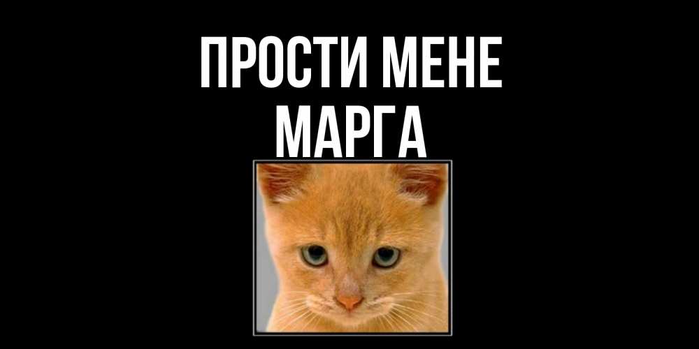 Открытка на каждый день з підписом, Марга Прости мене рыжий грустный кот просит прощения Прикольна листівка з побажанням онлайн скачати безкоштовно 