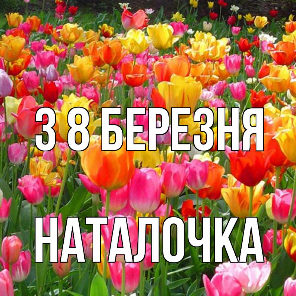 Открытка на каждый день з підписом, Наталочка З 8 БЕРЕЗНЯ на международный женский день Прикольна листівка з побажанням онлайн скачати безкоштовно 