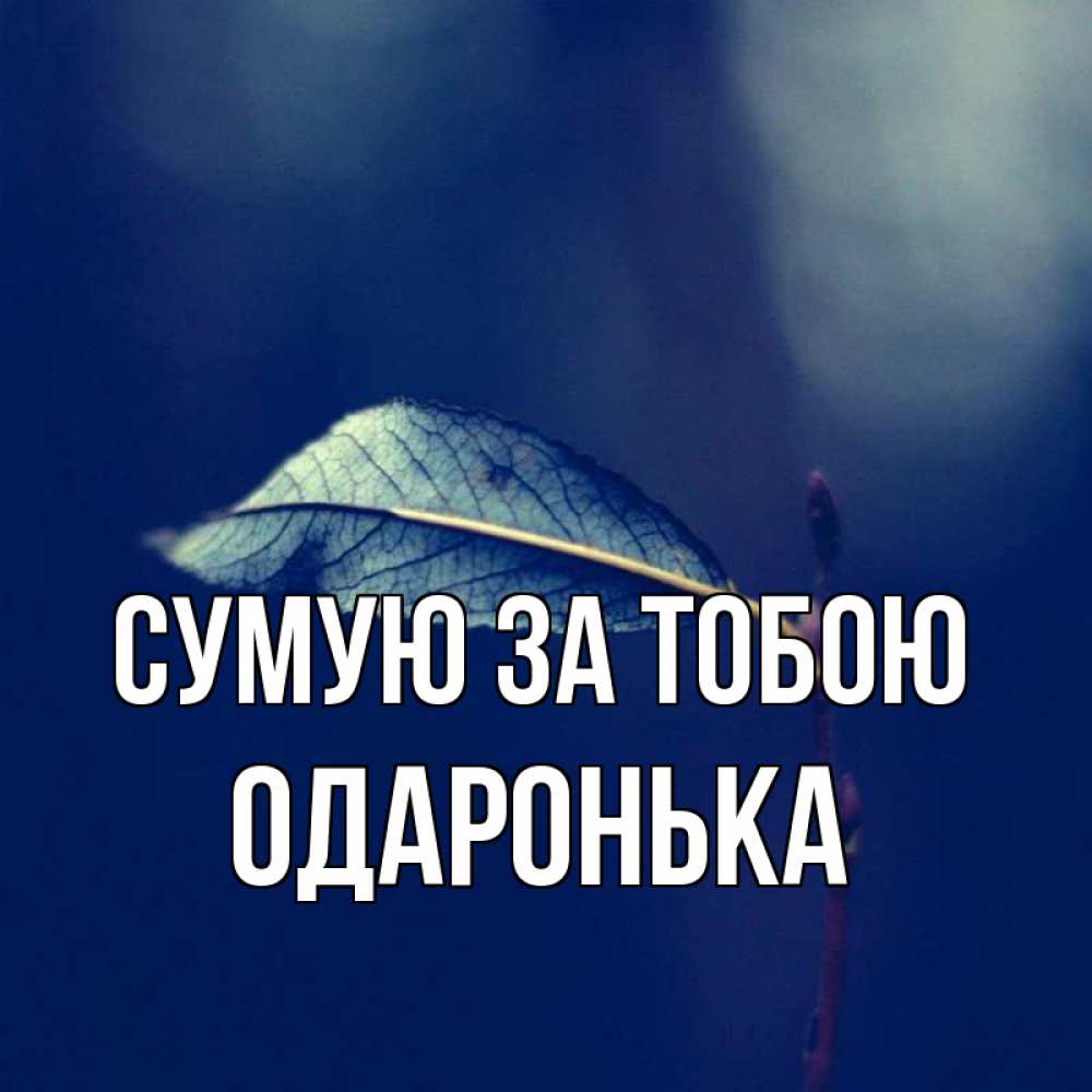 Открытка на каждый день з підписом, Одаронька Сумую за тобою одна ветка 1 Прикольна листівка з побажанням онлайн скачати безкоштовно 