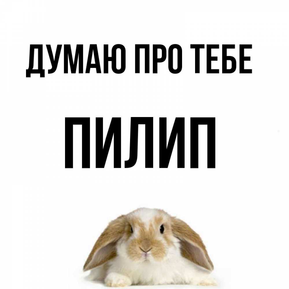 Открытка на каждый день з підписом, Пилип Думаю про тебе подписать своими руками онлайн Прикольна листівка з побажанням онлайн скачати безкоштовно 