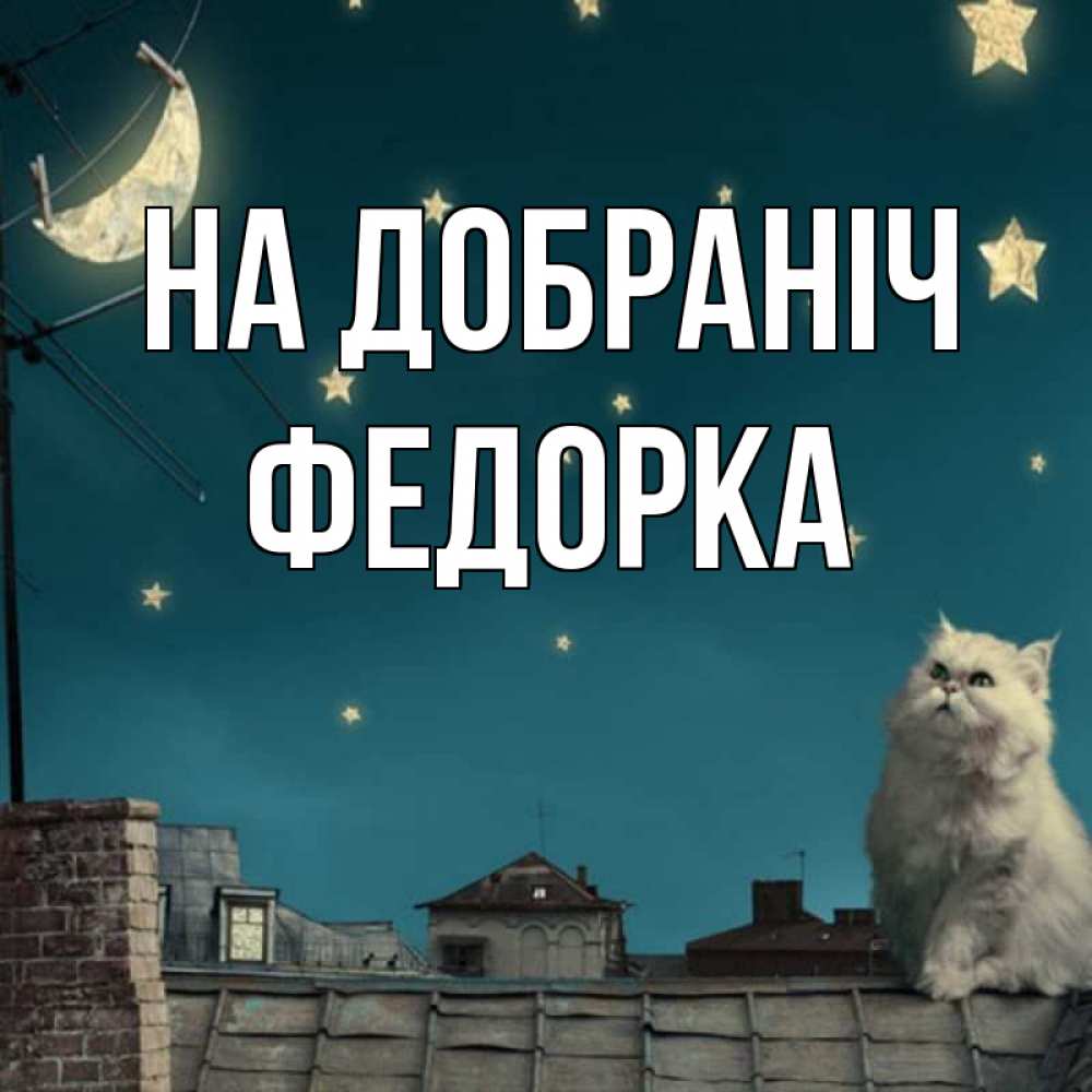 Открытка на каждый день з підписом, Федорка На добраніч белый кот сидит на крыше Прикольна листівка з побажанням онлайн скачати безкоштовно 