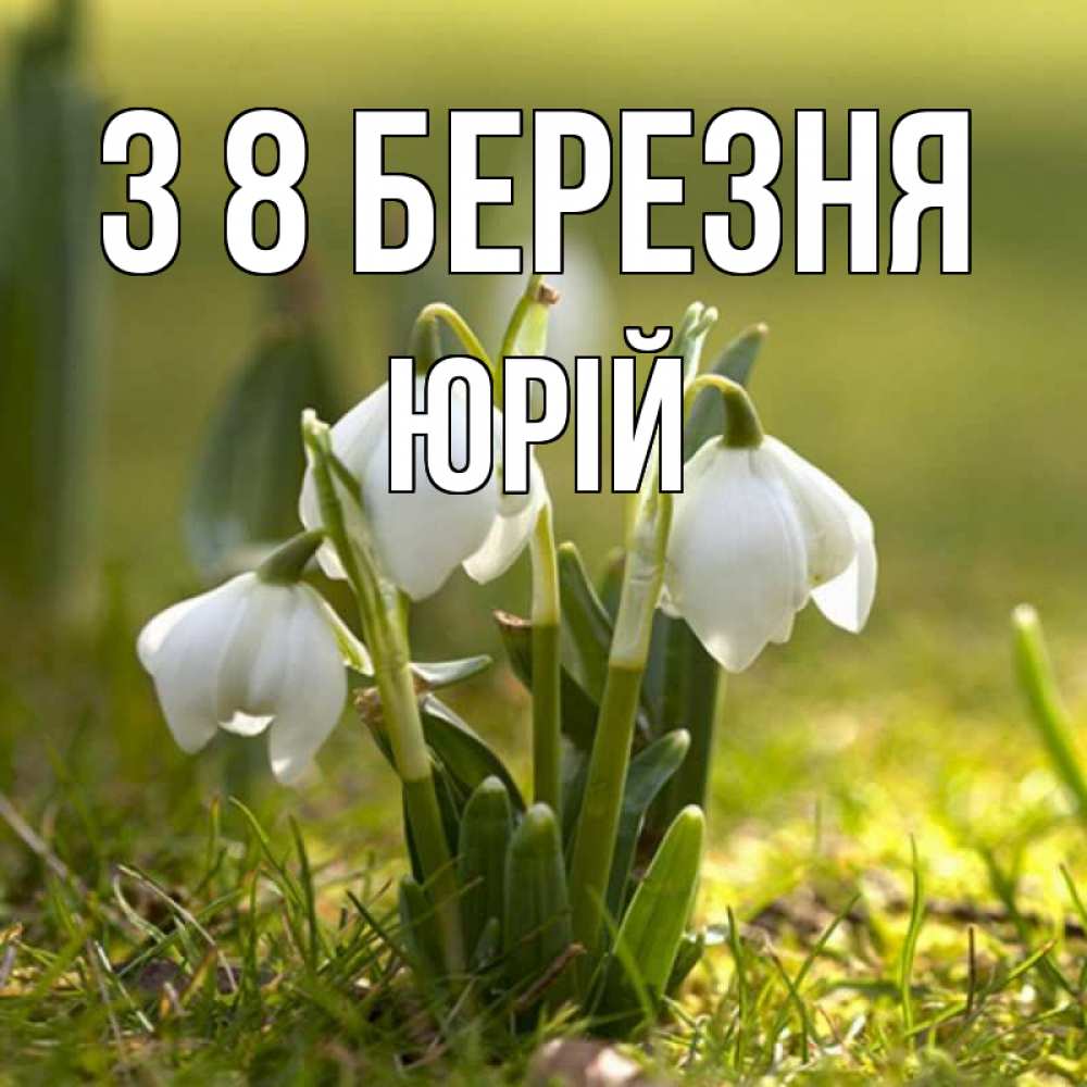 Открытка на каждый день з підписом, Юрій З 8 БЕРЕЗНЯ ранние цветы 2 Прикольна листівка з побажанням онлайн скачати безкоштовно 