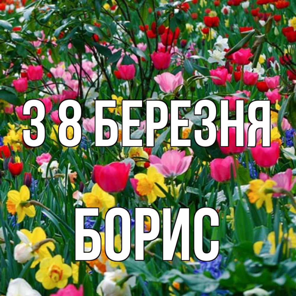 Открытка на каждый день з підписом, Борис З 8 БЕРЕЗНЯ с международным женским днем поздравления для женщины Прикольна листівка з побажанням онлайн скачати безкоштовно 