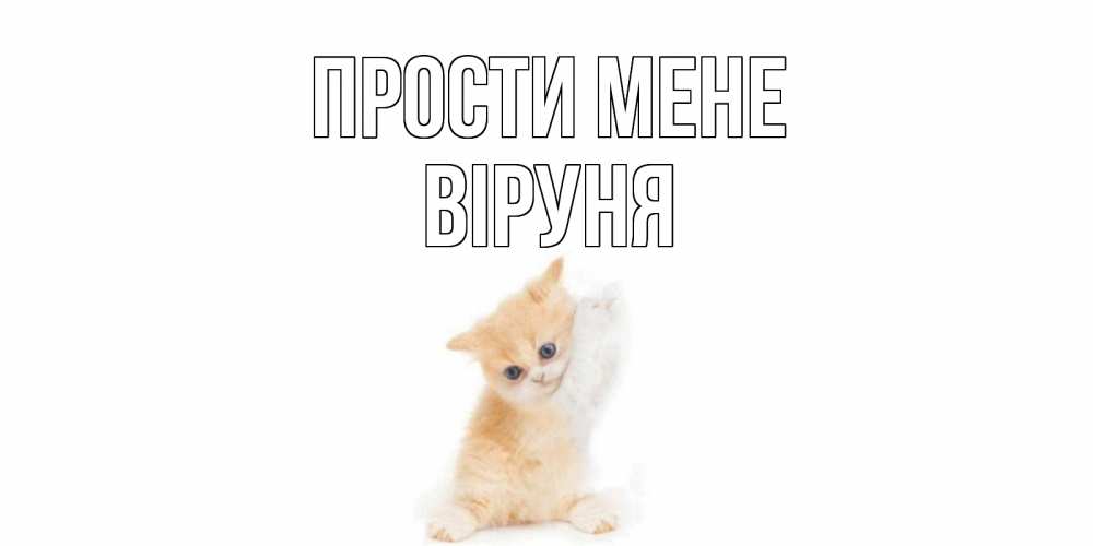 Открытка на каждый день з підписом, Віруня Прости мене кот Прикольна листівка з побажанням онлайн скачати безкоштовно 