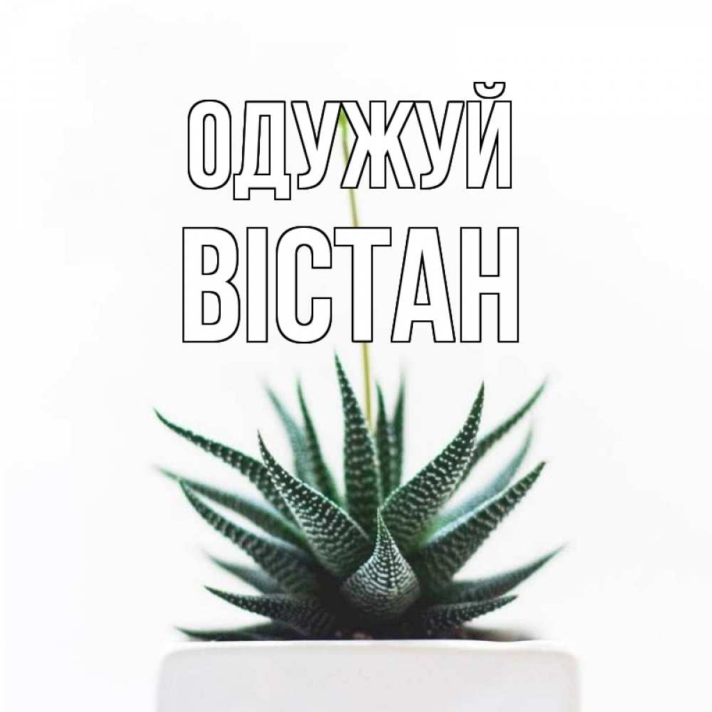 Открытка на каждый день з підписом, Вістан Одужуй короче это непонятная колючка Прикольна листівка з побажанням онлайн скачати безкоштовно 