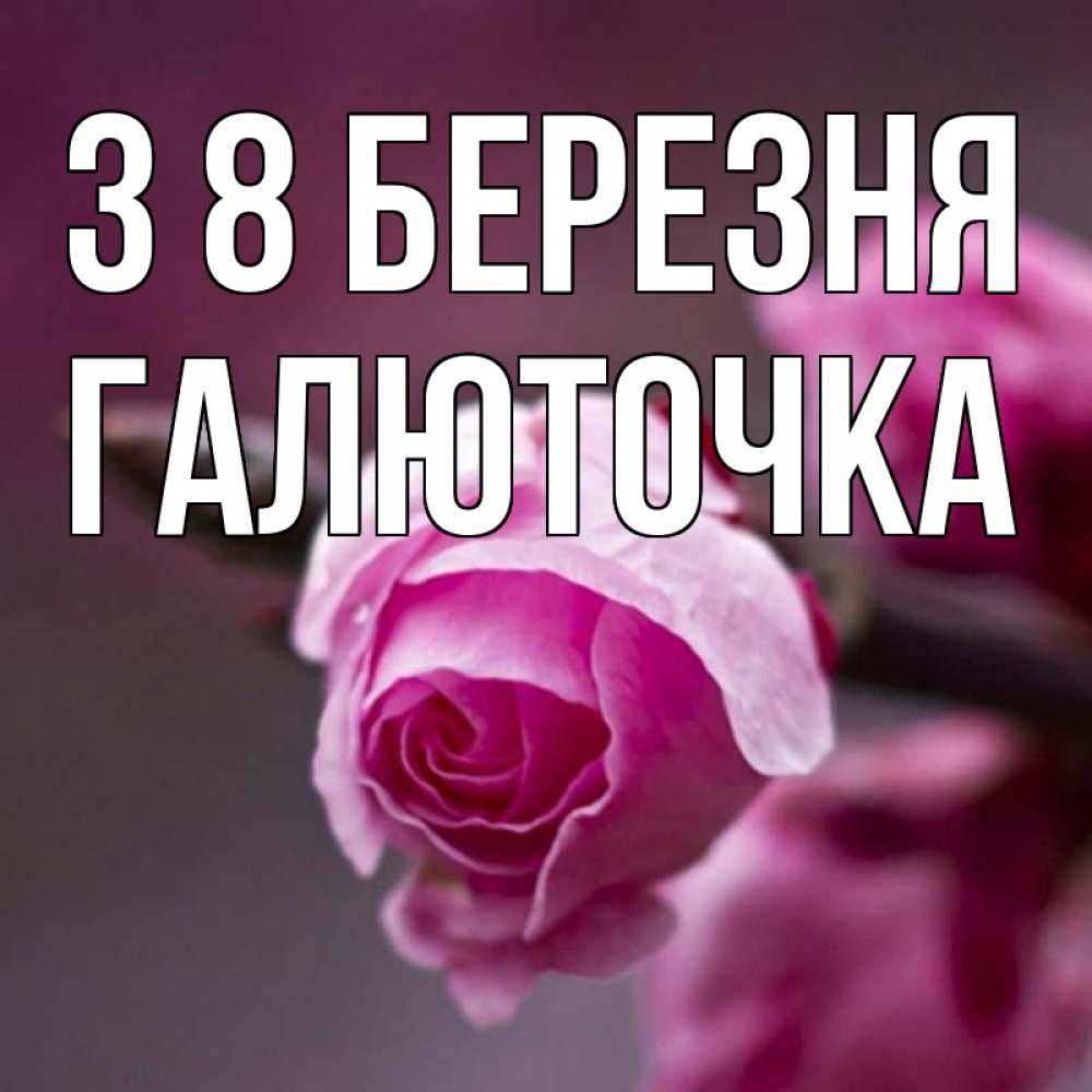 Открытка на каждый день з підписом, Галюточка З 8 БЕРЕЗНЯ весна Прикольна листівка з побажанням онлайн скачати безкоштовно 
