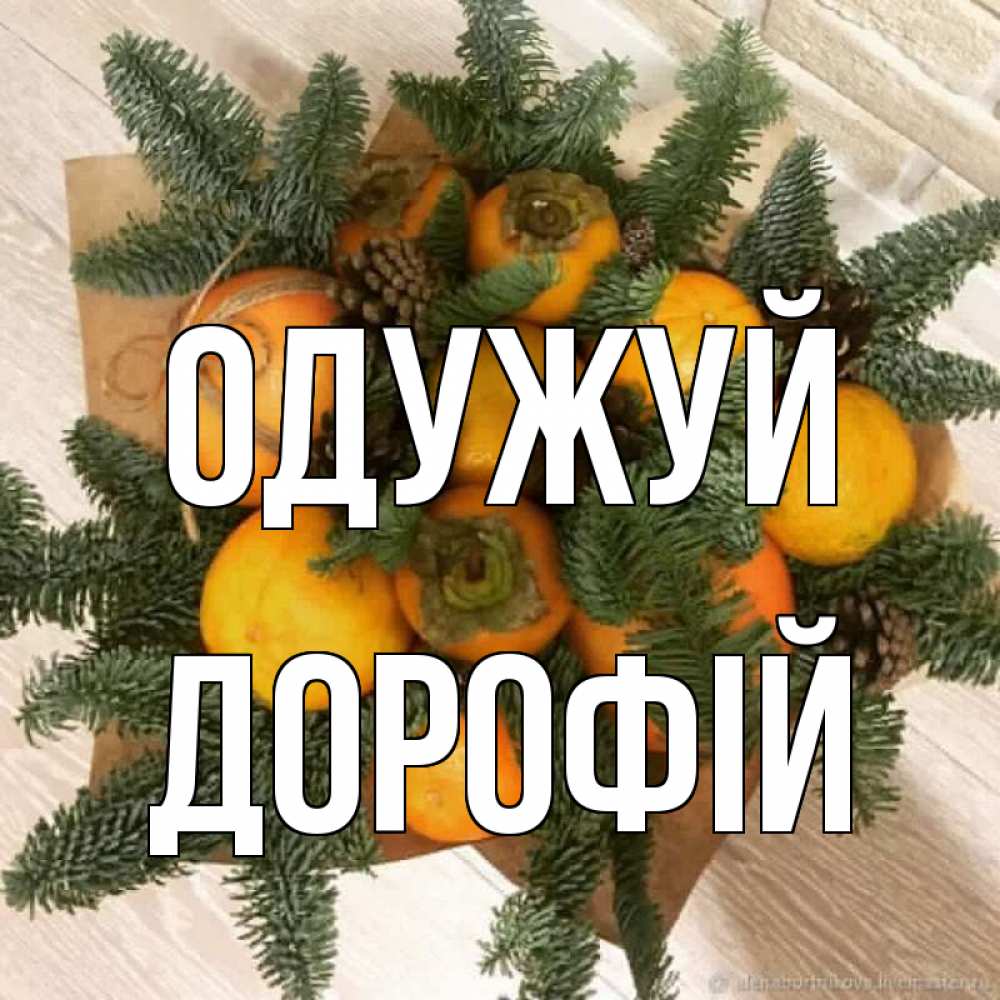 Открытка на каждый день з підписом, Дорофій Одужуй апельсины и хурьма Прикольна листівка з побажанням онлайн скачати безкоштовно 