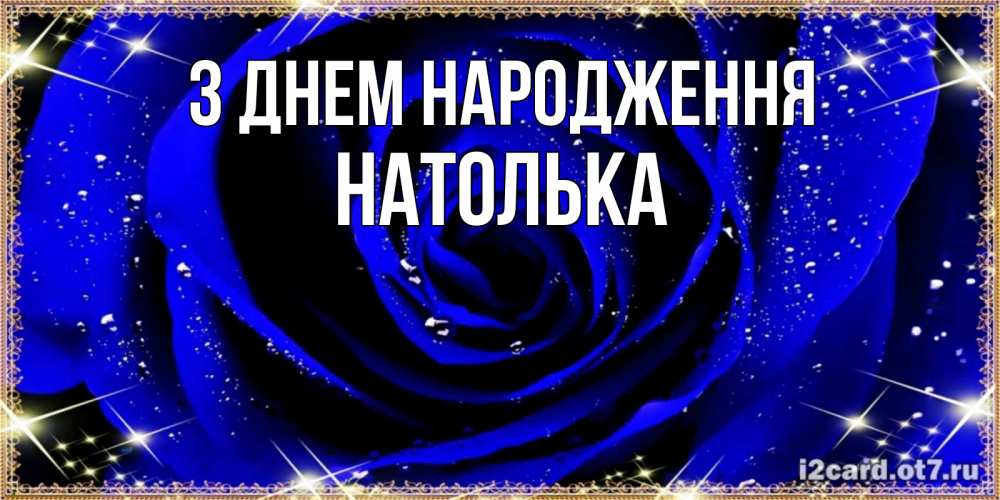 Открытка на каждый день з підписом, Натолька З Днем народження голубые цветы в росе Прикольна листівка з побажанням онлайн скачати безкоштовно 