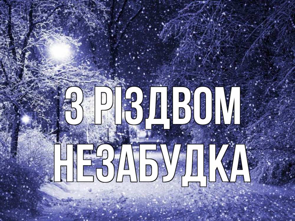 Открытка на каждый день з підписом, Незабудка З Різдвом зима, снег, фонарь Прикольна листівка з побажанням онлайн скачати безкоштовно 