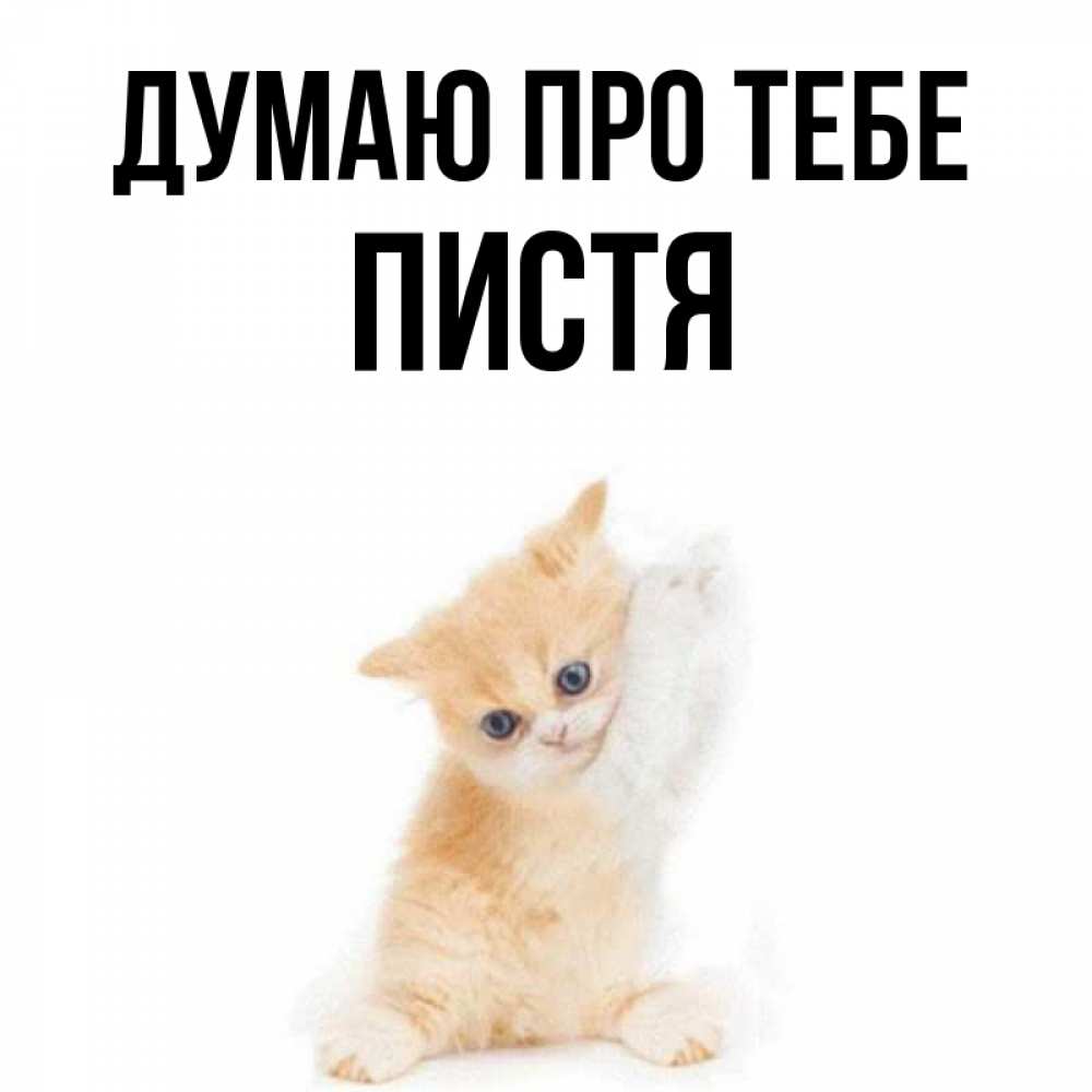 Открытка на каждый день з підписом, Пистя Думаю про тебе зверушки и милота Прикольна листівка з побажанням онлайн скачати безкоштовно 
