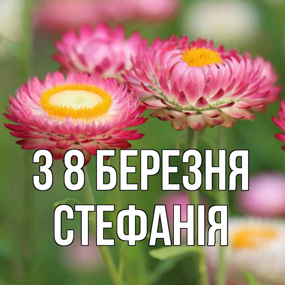 Открытка на каждый день з підписом, Стефанія З 8 БЕРЕЗНЯ подарок на международный женский день Прикольна листівка з побажанням онлайн скачати безкоштовно 