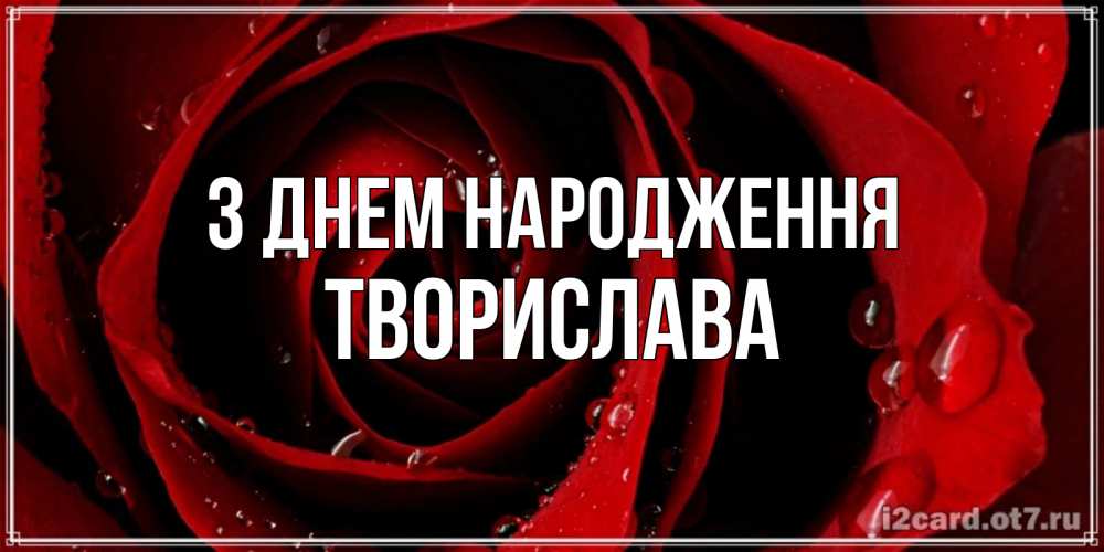 Открытка на каждый день з підписом, Творислава З Днем народження крупная бордовая роза Прикольна листівка з побажанням онлайн скачати безкоштовно 