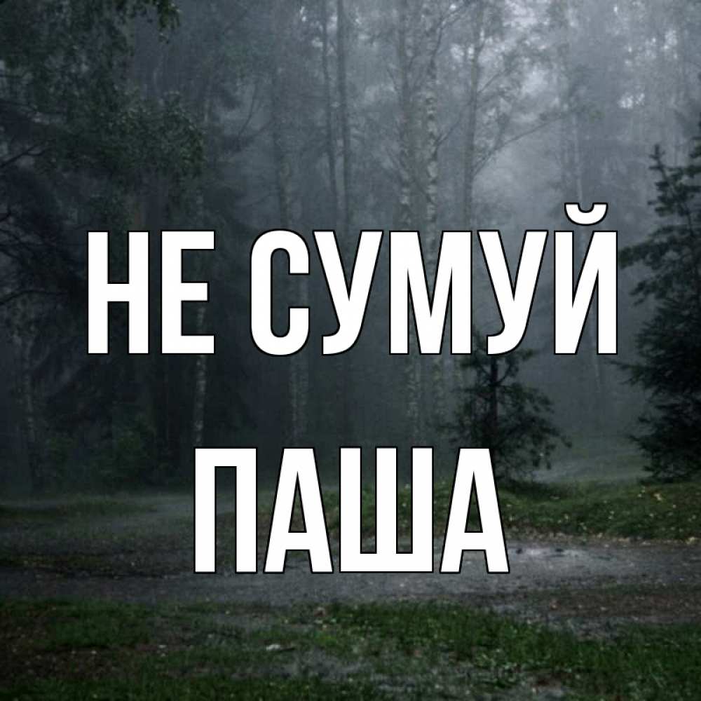 Открытка на каждый день з підписом, Паша Не сумуй осень Прикольна листівка з побажанням онлайн скачати безкоштовно 