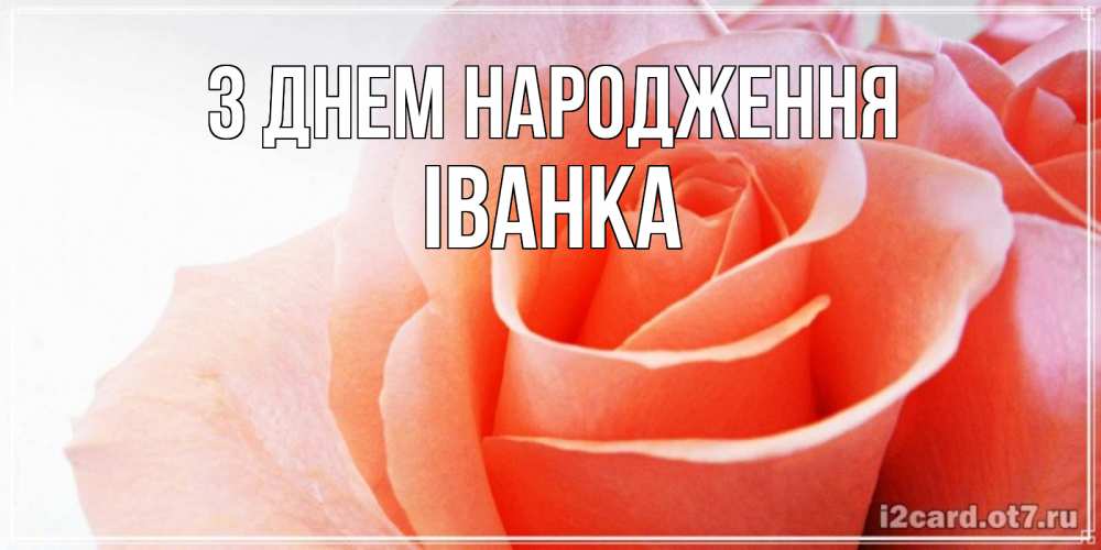 Открытка на каждый день з підписом, Іванка З Днем народження розы для поздравления с днем рождения Прикольна листівка з побажанням онлайн скачати безкоштовно 