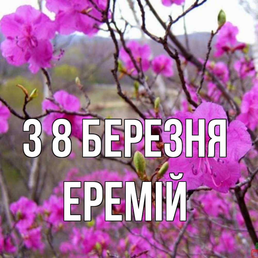 Открытка на каждый день з підписом, Еремій З 8 БЕРЕЗНЯ международный женский день Прикольна листівка з побажанням онлайн скачати безкоштовно 