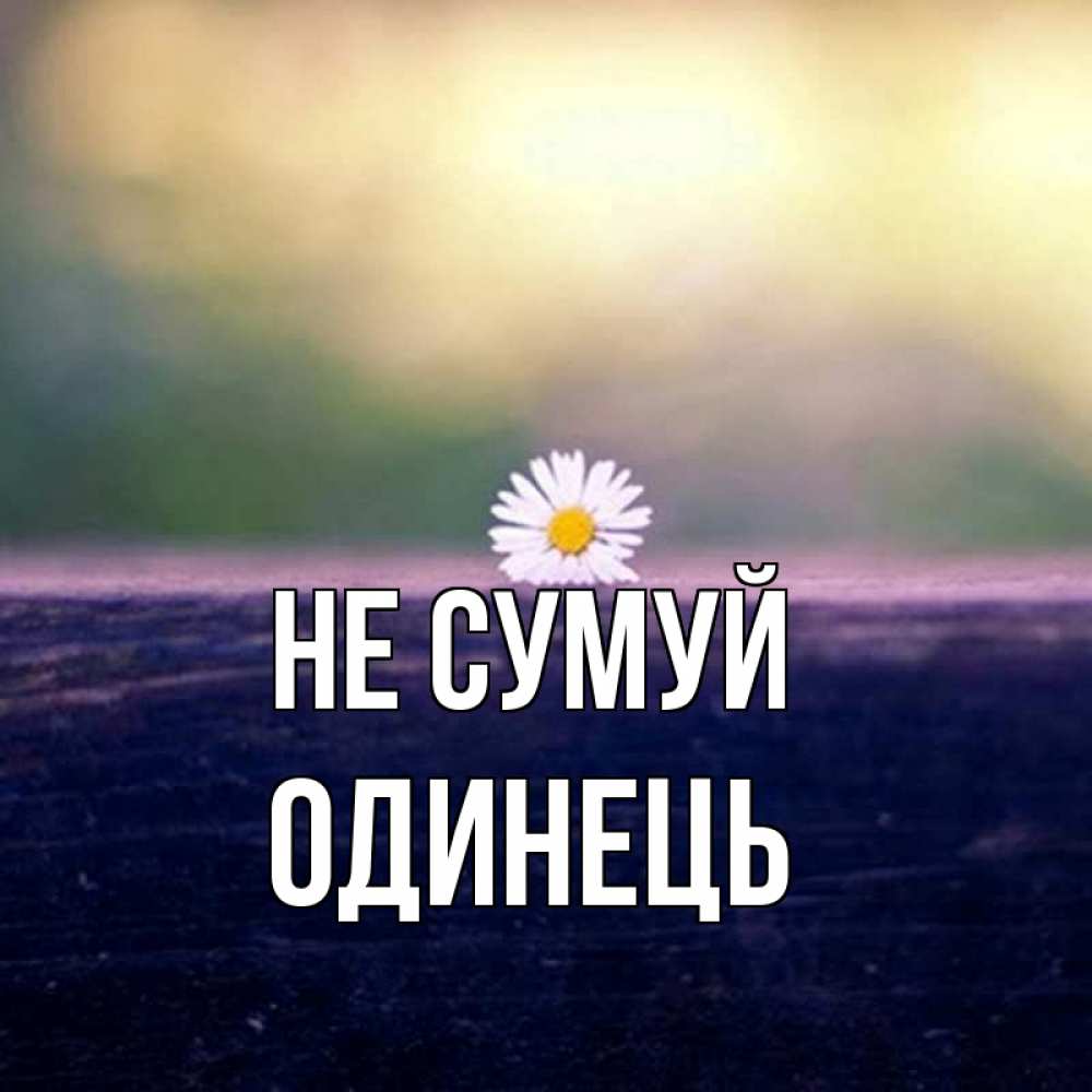 Открытка на каждый день з підписом, Одинець Не сумуй красота Прикольна листівка з побажанням онлайн скачати безкоштовно 