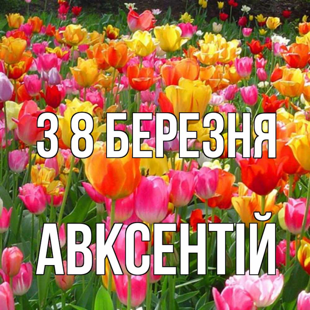 Открытка на каждый день з підписом, Авксентій З 8 БЕРЕЗНЯ на международный женский день Прикольна листівка з побажанням онлайн скачати безкоштовно 