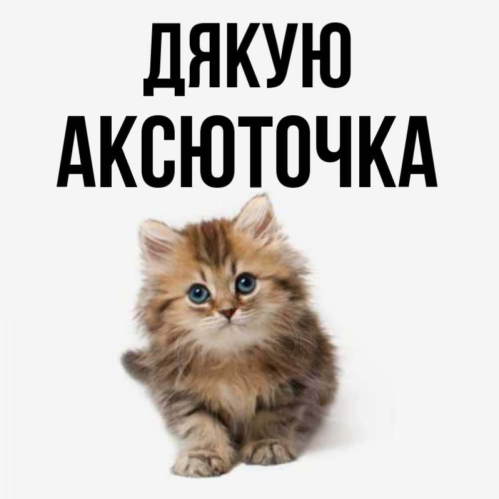 Открытка на каждый день з підписом, Аксюточка Дякую пушистый котик Прикольна листівка з побажанням онлайн скачати безкоштовно 
