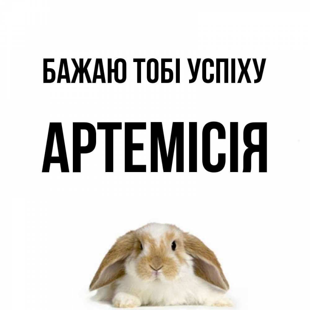 Открытка на каждый день з підписом, Артемісія Бажаю тобі успіху открытки с произвольным текстом который можно вставить в открытку и создать ее самостоятельно бесплатно онлайн Прикольна листівка з побажанням онлайн скачати безкоштовно 