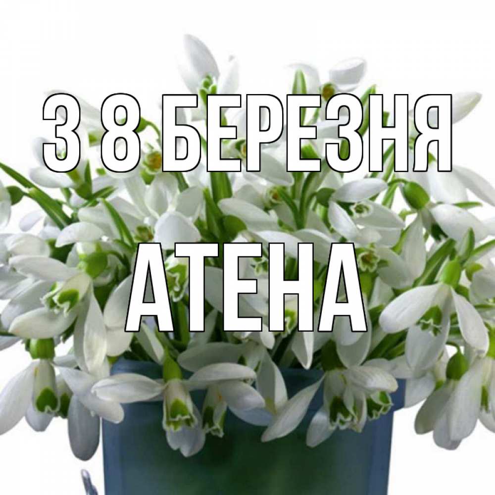 Открытка на каждый день з підписом, Атена З 8 БЕРЕЗНЯ цветы к международному женскому дню Прикольна листівка з побажанням онлайн скачати безкоштовно 