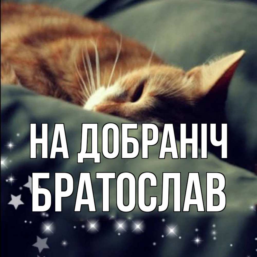 Открытка на каждый день з підписом, Братослав На добраніч кроватка Прикольна листівка з побажанням онлайн скачати безкоштовно 