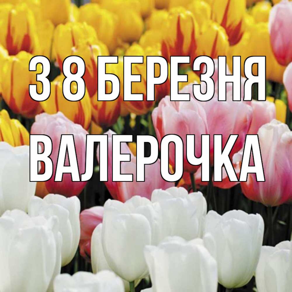 Открытка на каждый день з підписом, Валерочка З 8 БЕРЕЗНЯ разноцветные цветы Прикольна листівка з побажанням онлайн скачати безкоштовно 