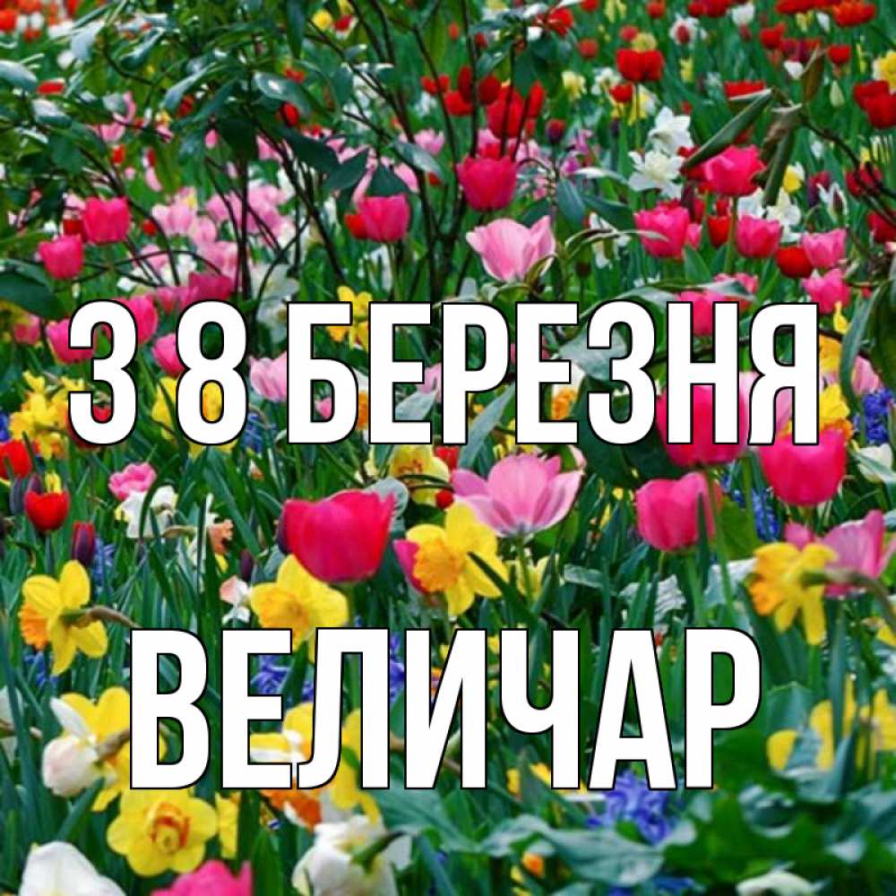 Открытка на каждый день з підписом, Величар З 8 БЕРЕЗНЯ с международным женским днем поздравления для женщины Прикольна листівка з побажанням онлайн скачати безкоштовно 