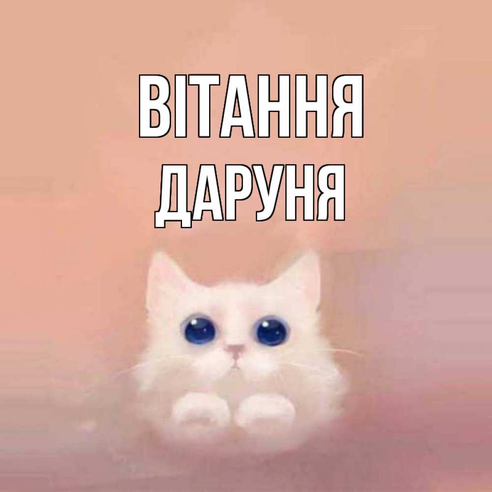 Открытка на каждый день з підписом, Даруня Вітання котик белый в полете Прикольна листівка з побажанням онлайн скачати безкоштовно 