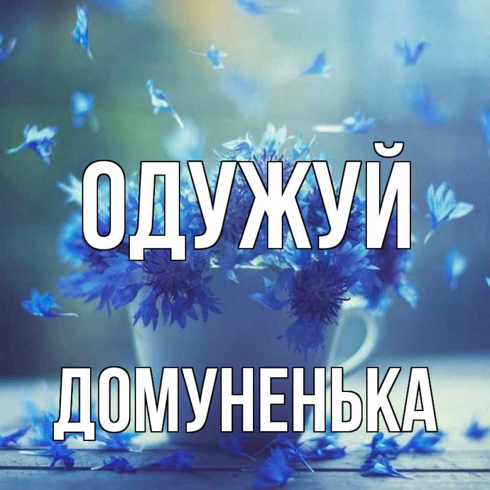 Открытка на каждый день з підписом, Домуненька Одужуй кружка с зельем и цветами Прикольна листівка з побажанням онлайн скачати безкоштовно 