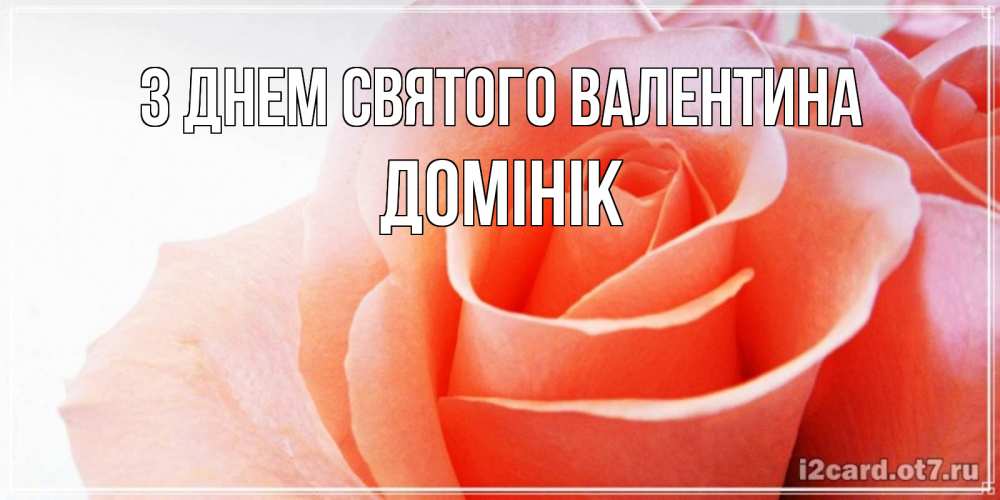 Открытка на каждый день з підписом, Домінік З Днем Святого Валентина открытка на день Святого Валентина с розовой розой Прикольна листівка з побажанням онлайн скачати безкоштовно 