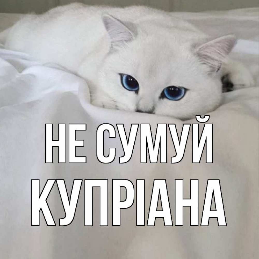 Открытка на каждый день з підписом, Купріана Не сумуй белый кот с голубыми глазами на белоснежной кровати Прикольна листівка з побажанням онлайн скачати безкоштовно 