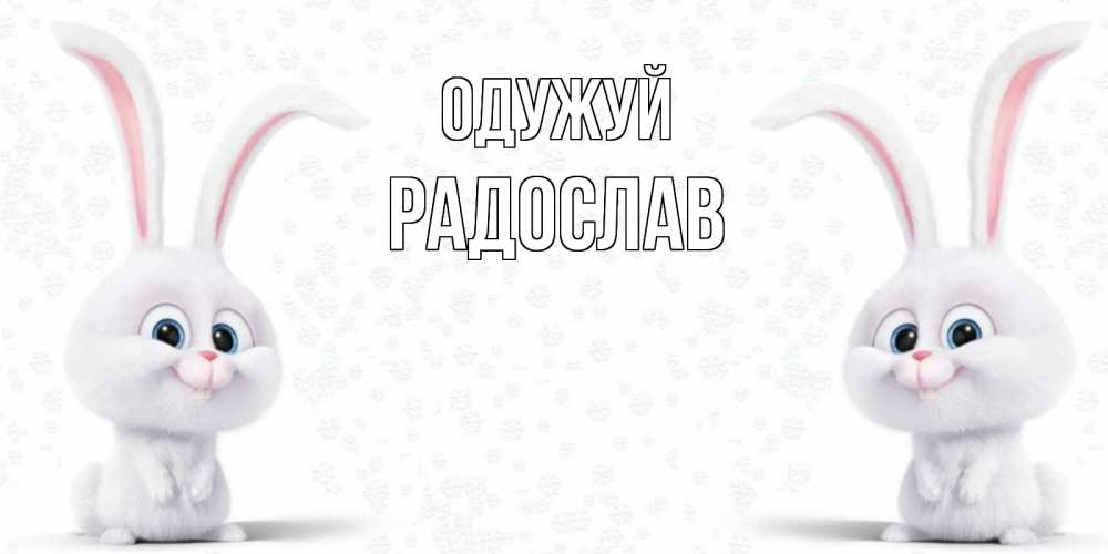 Открытка на каждый день з підписом, Радослав Одужуй не болей с зайцем Прикольна листівка з побажанням онлайн скачати безкоштовно 