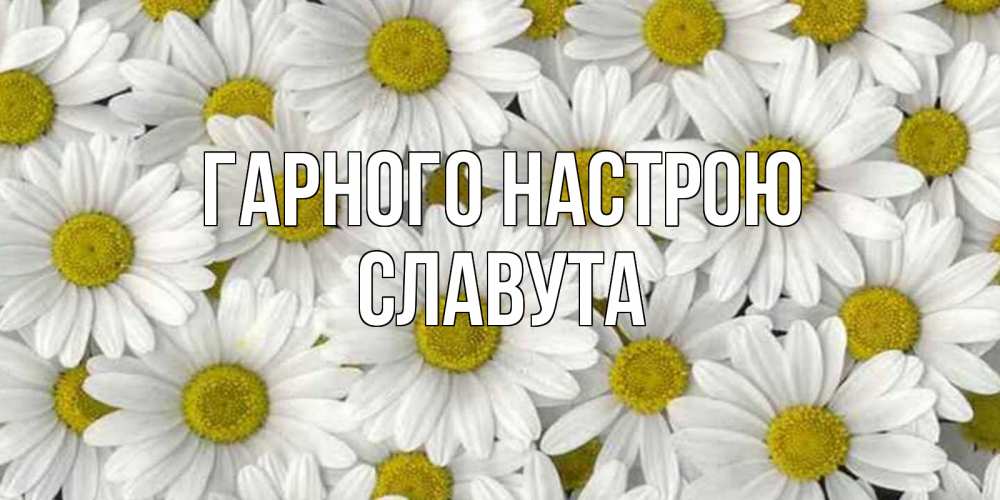 Открытка на каждый день з підписом, Славута Гарного настрою поляна ромашек Прикольна листівка з побажанням онлайн скачати безкоштовно 