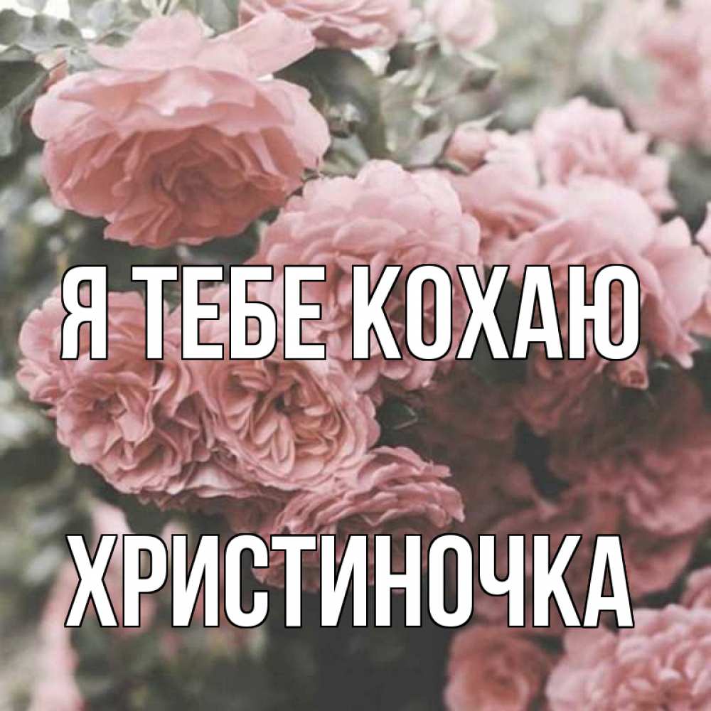 Открытка на каждый день з підписом, Христиночка Я тебе кохаю розы 3 Прикольна листівка з побажанням онлайн скачати безкоштовно 