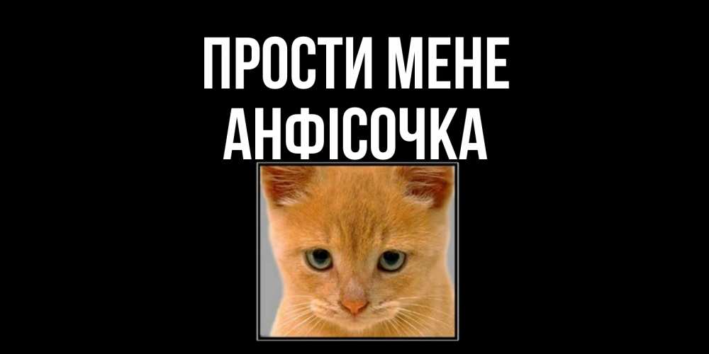 Открытка на каждый день з підписом, Анфісочка Прости мене рыжий грустный кот просит прощения Прикольна листівка з побажанням онлайн скачати безкоштовно 