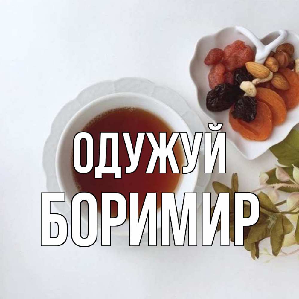 Открытка на каждый день з підписом, Боримир Одужуй неизвестные растения Прикольна листівка з побажанням онлайн скачати безкоштовно 