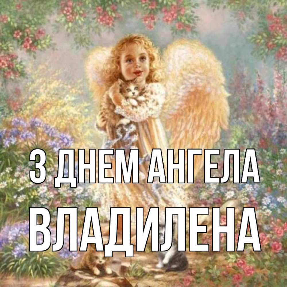 Открытка на каждый день з підписом, Владилена З Днем ангела держит котенка Прикольна листівка з побажанням онлайн скачати безкоштовно 