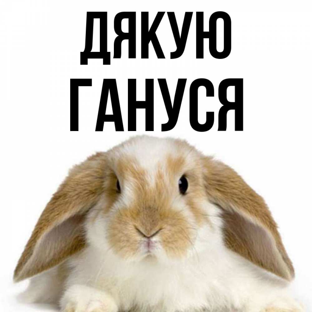 Открытка на каждый день з підписом, Гануся Дякую коричнево белый заяц Прикольна листівка з побажанням онлайн скачати безкоштовно 