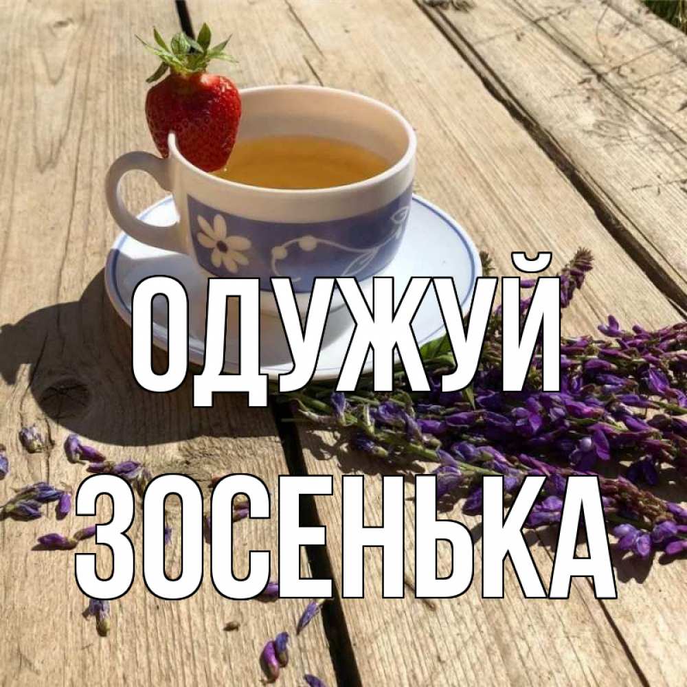 Открытка на каждый день з підписом, Зосенька Одужуй чай Прикольна листівка з побажанням онлайн скачати безкоштовно 