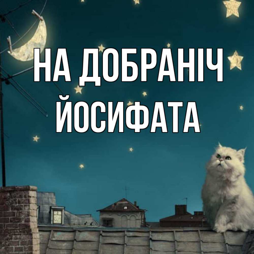 Открытка на каждый день з підписом, Йосифата На добраніч белый кот сидит на крыше Прикольна листівка з побажанням онлайн скачати безкоштовно 