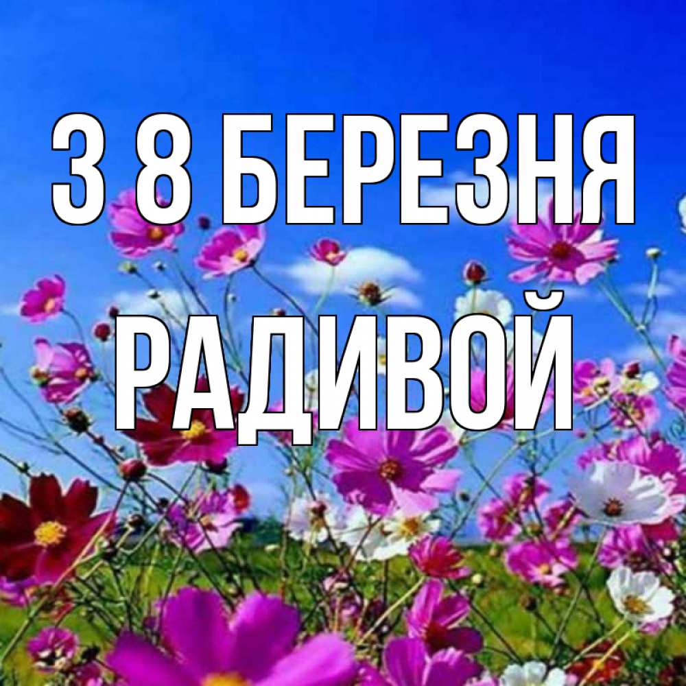 Открытка на каждый день з підписом, Радивой З 8 БЕРЕЗНЯ цветы Прикольна листівка з побажанням онлайн скачати безкоштовно 