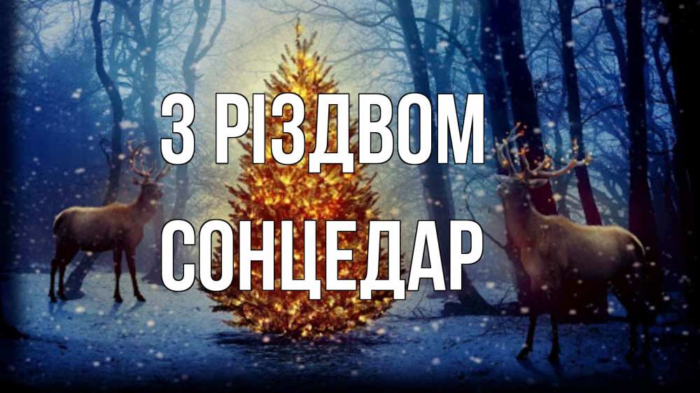 Открытка на каждый день з підписом, Сонцедар З Різдвом олени, новогодняя елка Прикольна листівка з побажанням онлайн скачати безкоштовно 
