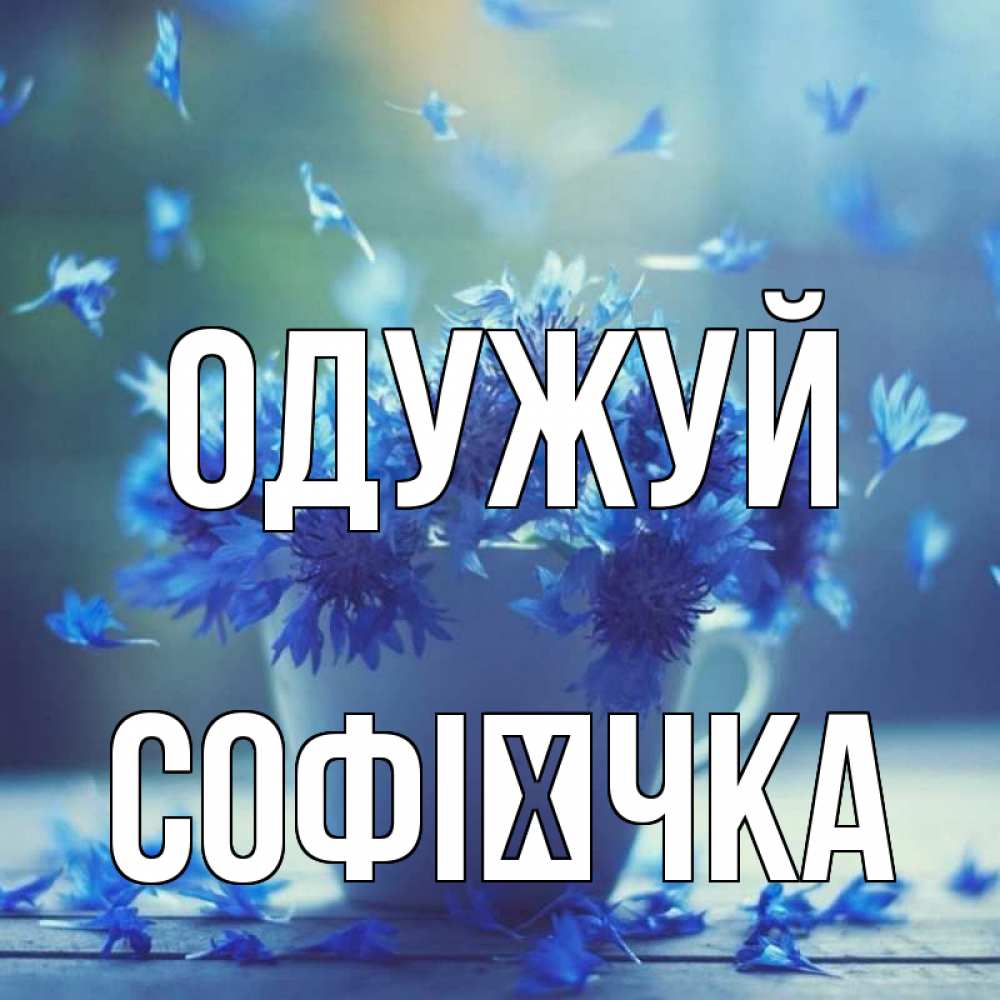 Открытка на каждый день з підписом, Софієчка Одужуй кружка с зельем и цветами Прикольна листівка з побажанням онлайн скачати безкоштовно 