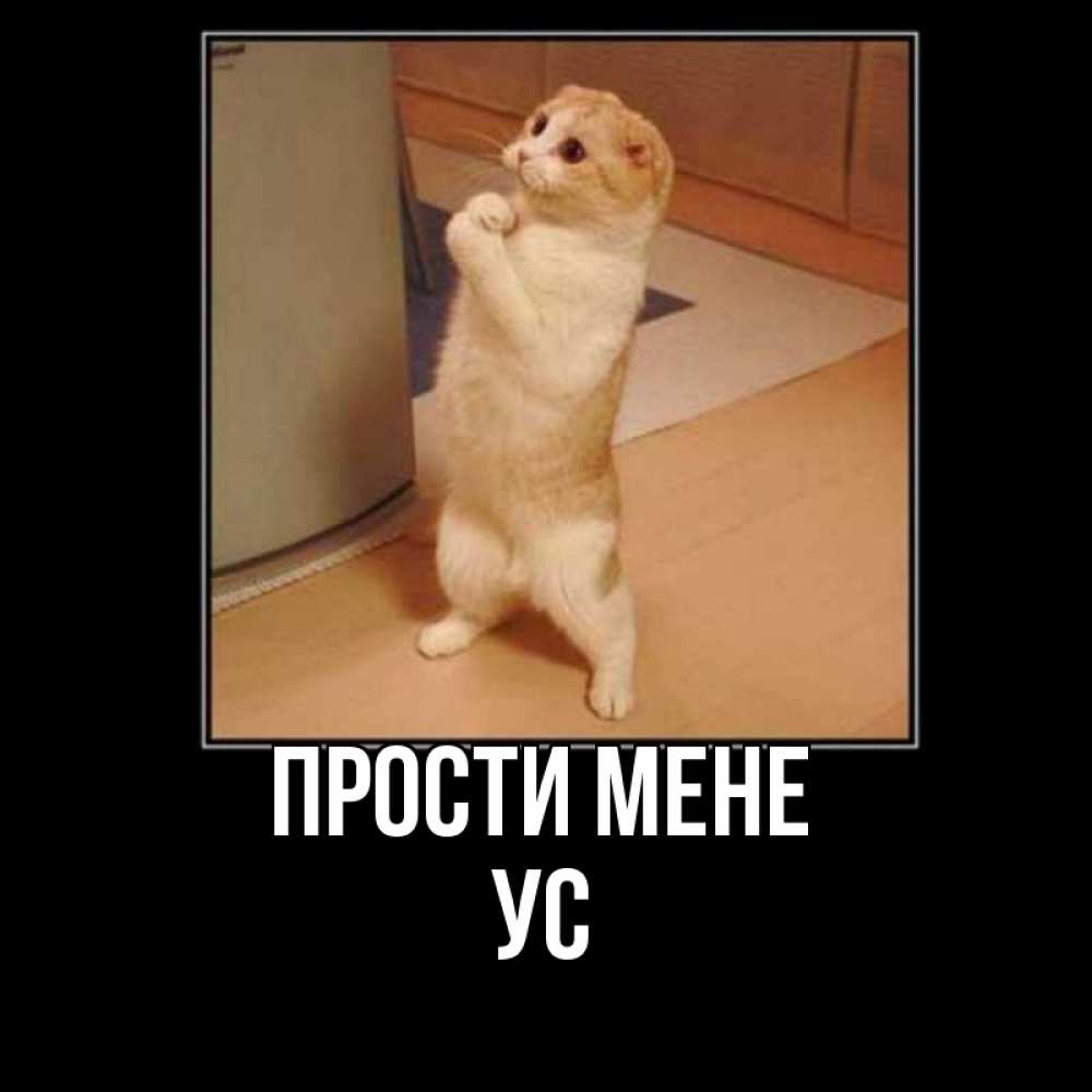 Открытка на каждый день з підписом, Ус Прости мене открытка с милым несчастным котиком просящим прощения Прикольна листівка з побажанням онлайн скачати безкоштовно 